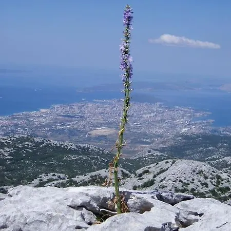 Villa La Plazza *